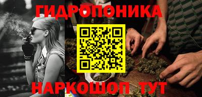 гидра Краснокаменск