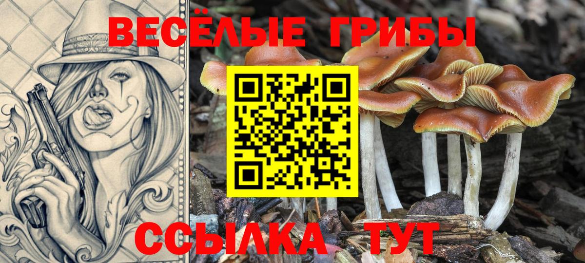 Красноармейск  Галлюциногенные грибы мухоморы  Вход с VPN 